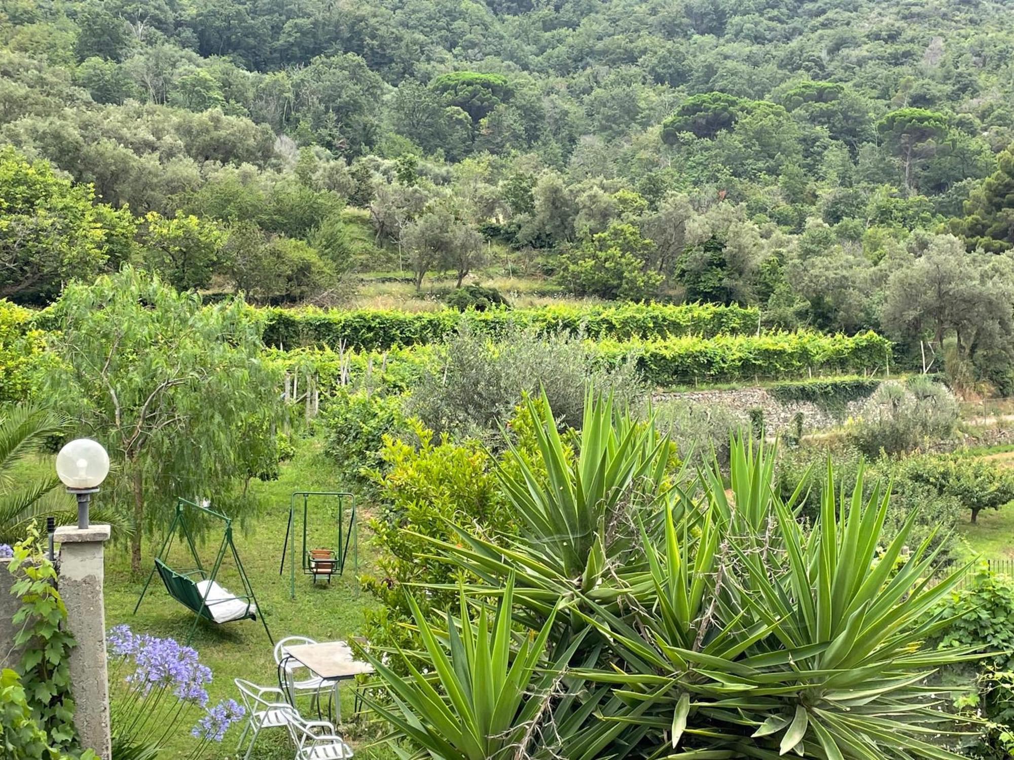 Agriturismo Barilaro Finale Ligure Exterior foto